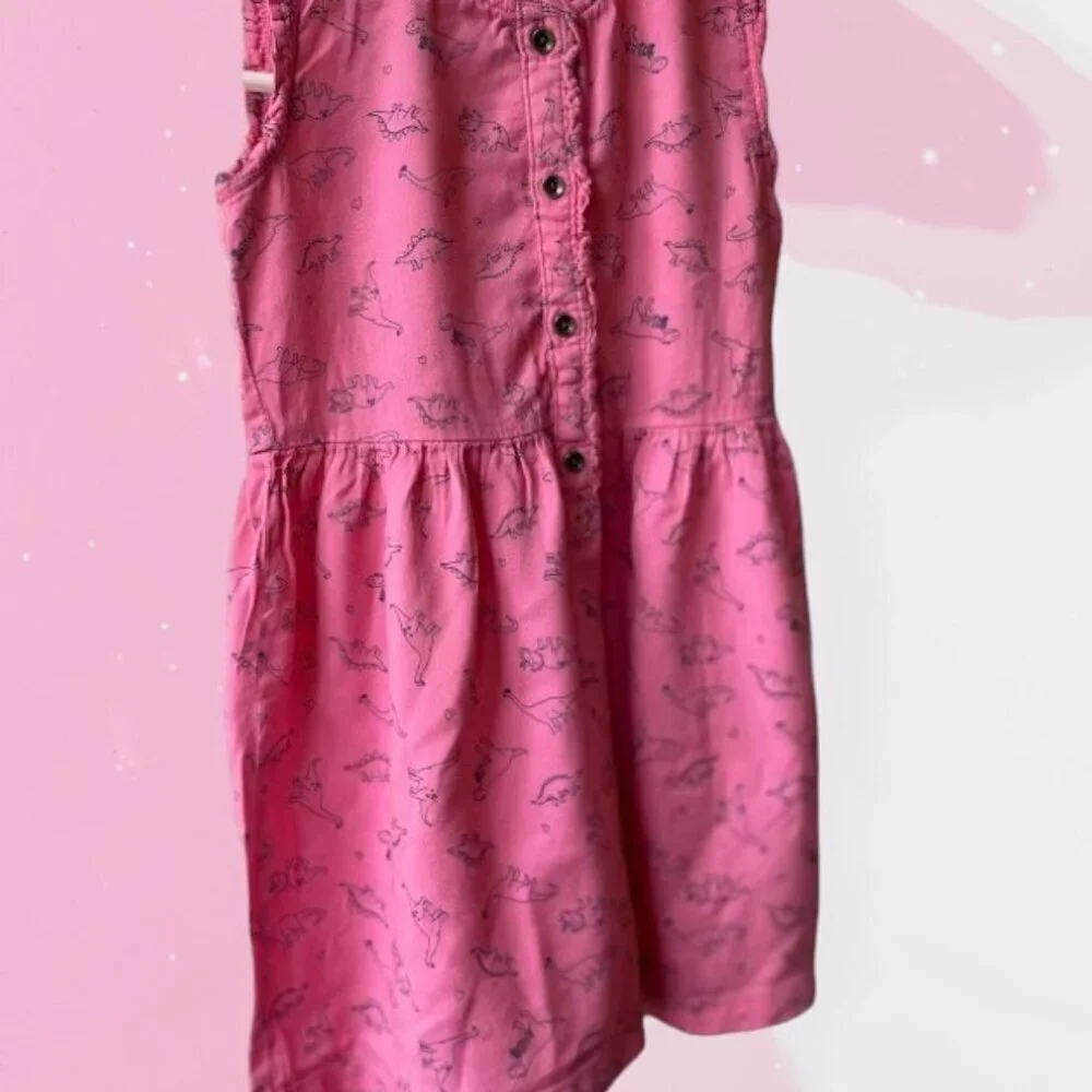 Carter's Dinosaur Dress